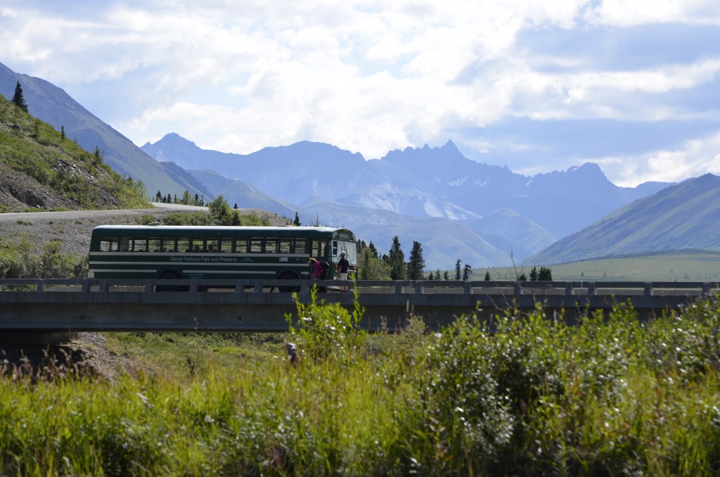 A train traveling through the mountains near grass image in color