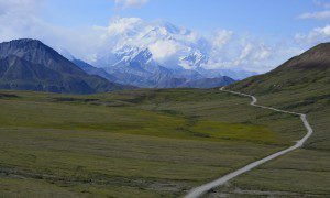 A road going through the middle of a field with mountains in the background.